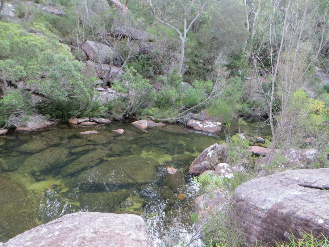 Main waterfall and pool along Kangaroo Creek